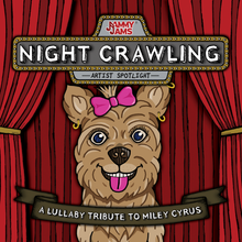 Load image into Gallery viewer, Night Crawling: A Lullaby Tribute To Miley Cyrus